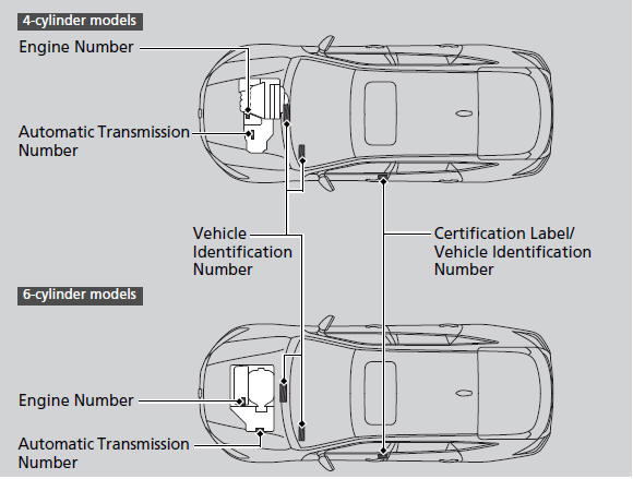 The transmission number is located on the side of the