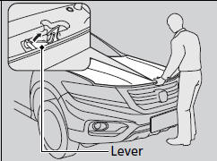 3. Push up the hood latch lever in the center
