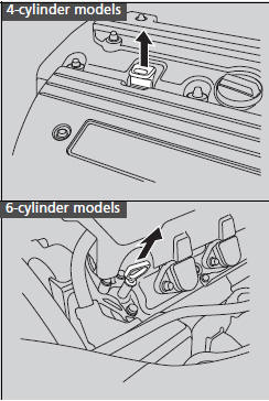 1. Remove the dipstick (orange handle).