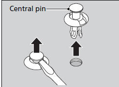Insert the clip with the central pin raised, and push