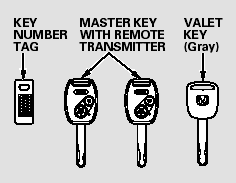 The master key fits all the locks on your vehicle. The valet key works only in