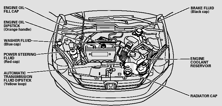 Fluid Locations