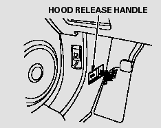 1. Park the vehicle, and set the parking brake. Pull the hood release handle