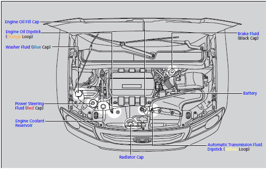 Opening the Hood