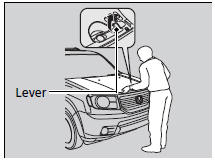 3.Push up the hood latch lever in the center of the hood to release the lock