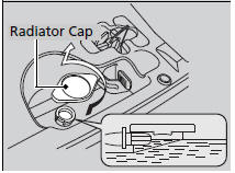 1. Make sure the engine and radiator are cool.