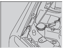 Models with washer level sensor