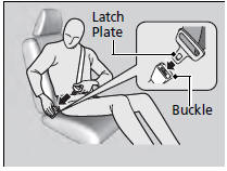 2.Insert the latch plate into the buckle, then tug on the belt to make sure the