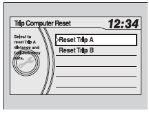 You can reset all data on the trip computer.